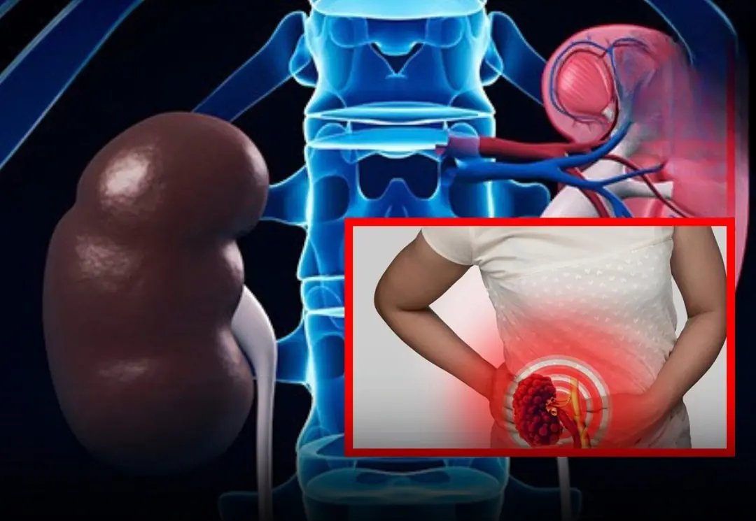 7 Signs Your Kidneys Are Working Well — Check Yourself