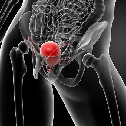 These Early Symptoms May Be Warning You About Bladder Can:cer