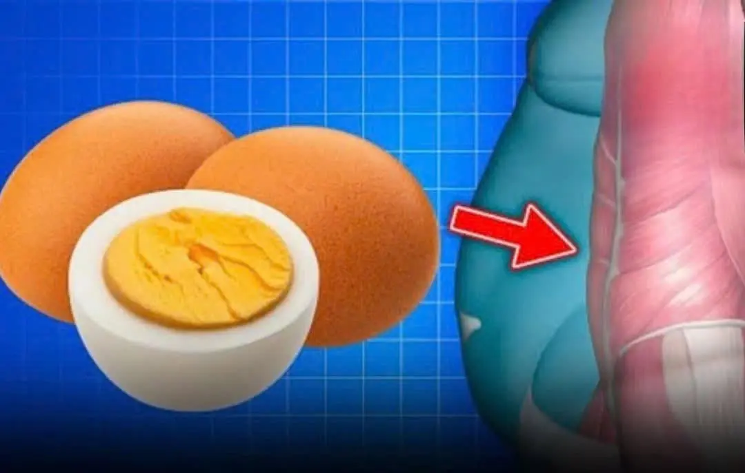 Prepare to Be Shoc:ked by What’s Happening Inside Your Body