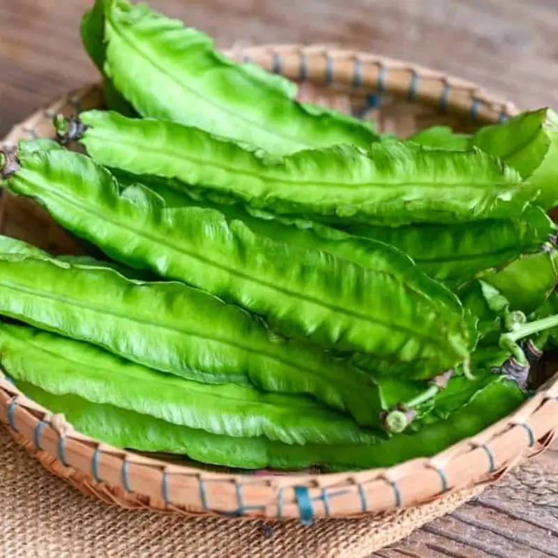 Eating Winged Beans? Here’s What Doctors Want You to Know