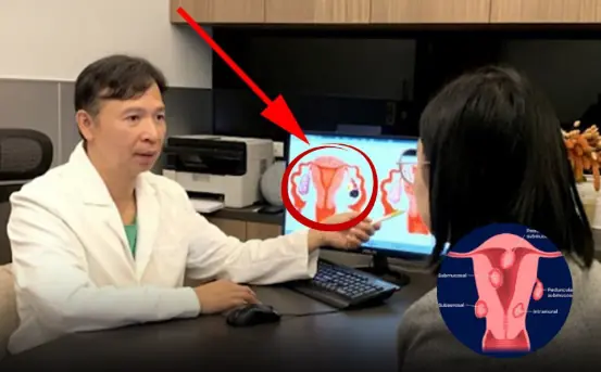 At 55, Her Uterus Tests as Healthy as a 20-Year-Old’s — Doctors Reveal the 3 Foods That Helped Balance Her Hormones