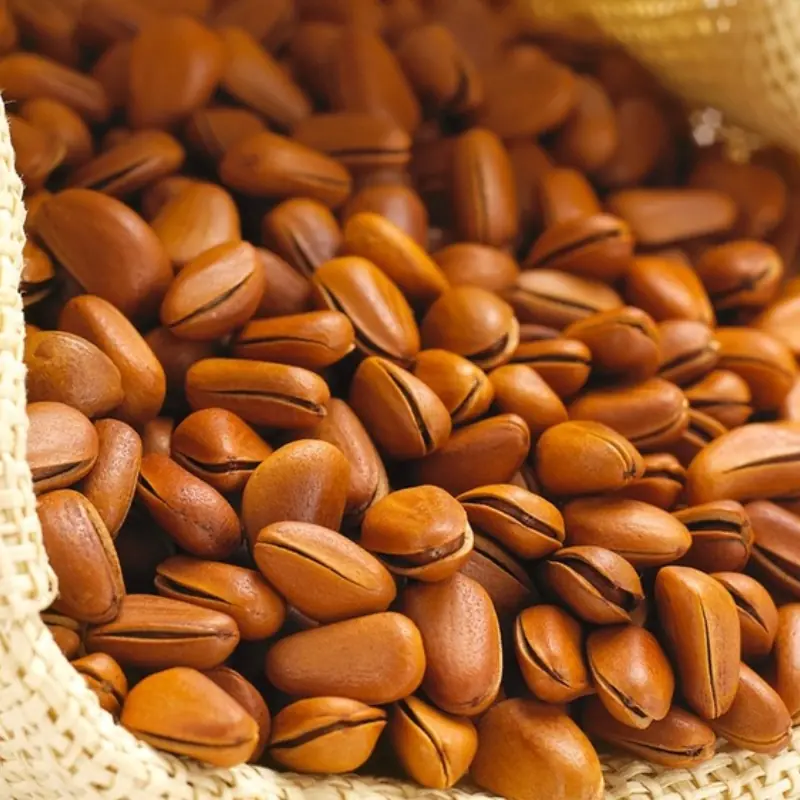 What Happens to Your Body If You Eat Pine Nuts Every Day?