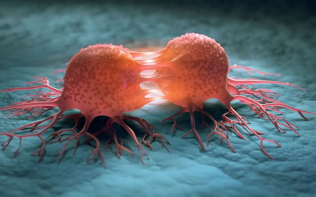 8 foods science links to natural can.cer protection