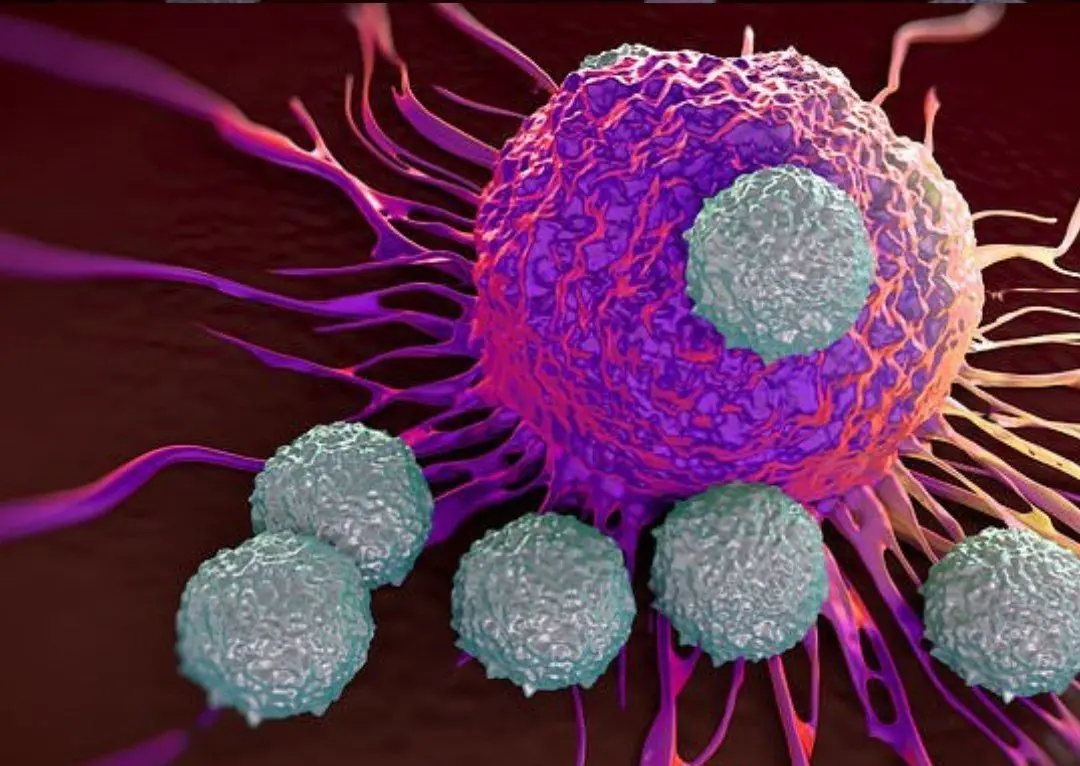 7 foods that support your body in fighting can.cer