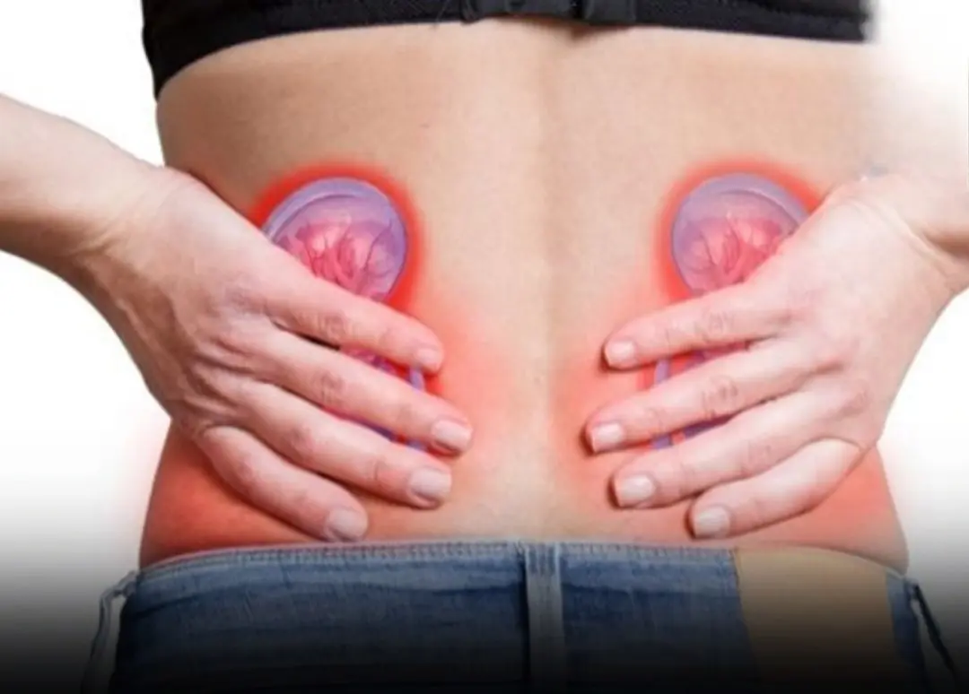 4 Simple Waters That Can Help Treat Kidney Stones Naturally