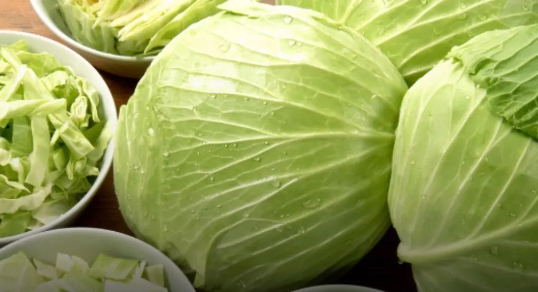 Cabbage Is Very Good for Your Health — But These 4 Types of People Should Not Eat It