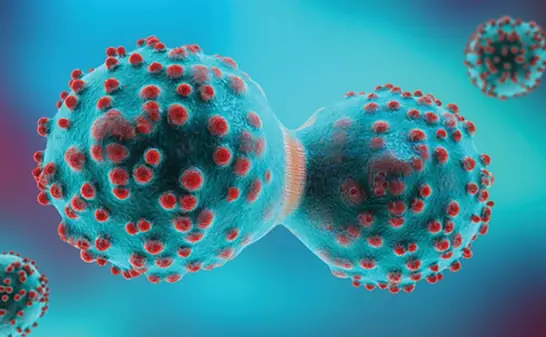 8 of the Best Anti-Can.cer Foods. It’s Time to Start Adding them to Your Diet