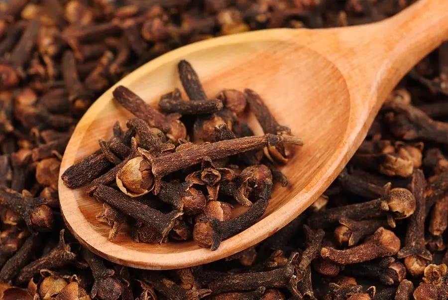 8 Surprising Ways Clove Water Can Support Your Health