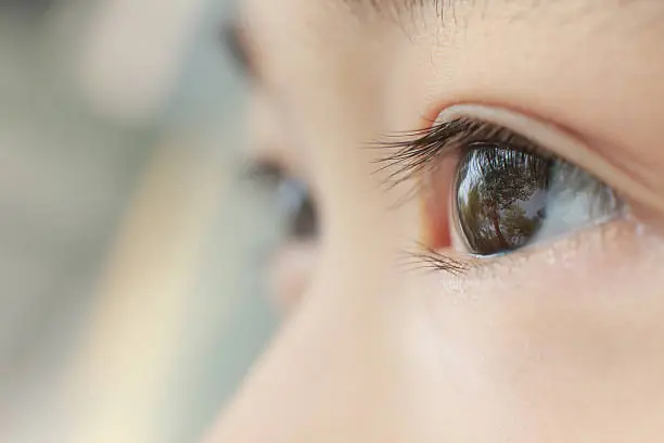 Why Your Eyes Never Truly Stay Still — Even When You Think They Do