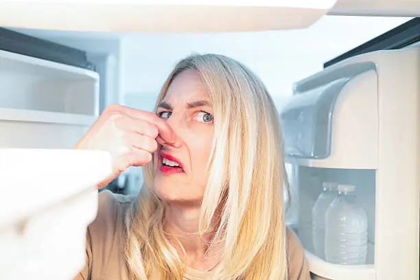 Why Food Seems Tasteless When Your Nose Is Blocked