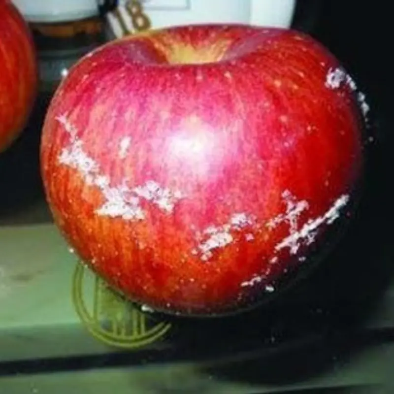 5 Fruits Often Linked to Health Risks: Think Twice Before Buying