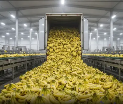 Experts reveal that eating bananas in the morning cause