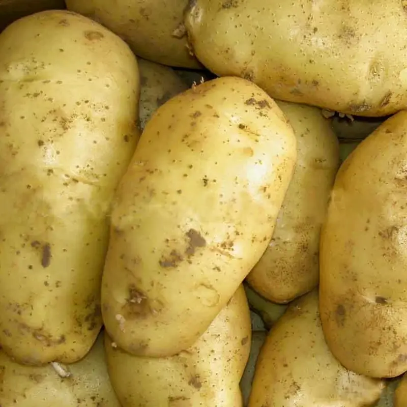 Sweet Potatoes vs. Potatoes: Which One Truly Wins for Health?