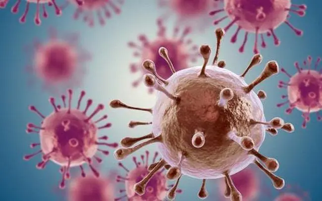 8 commonly ignored foods with potential anti-can.cer properties