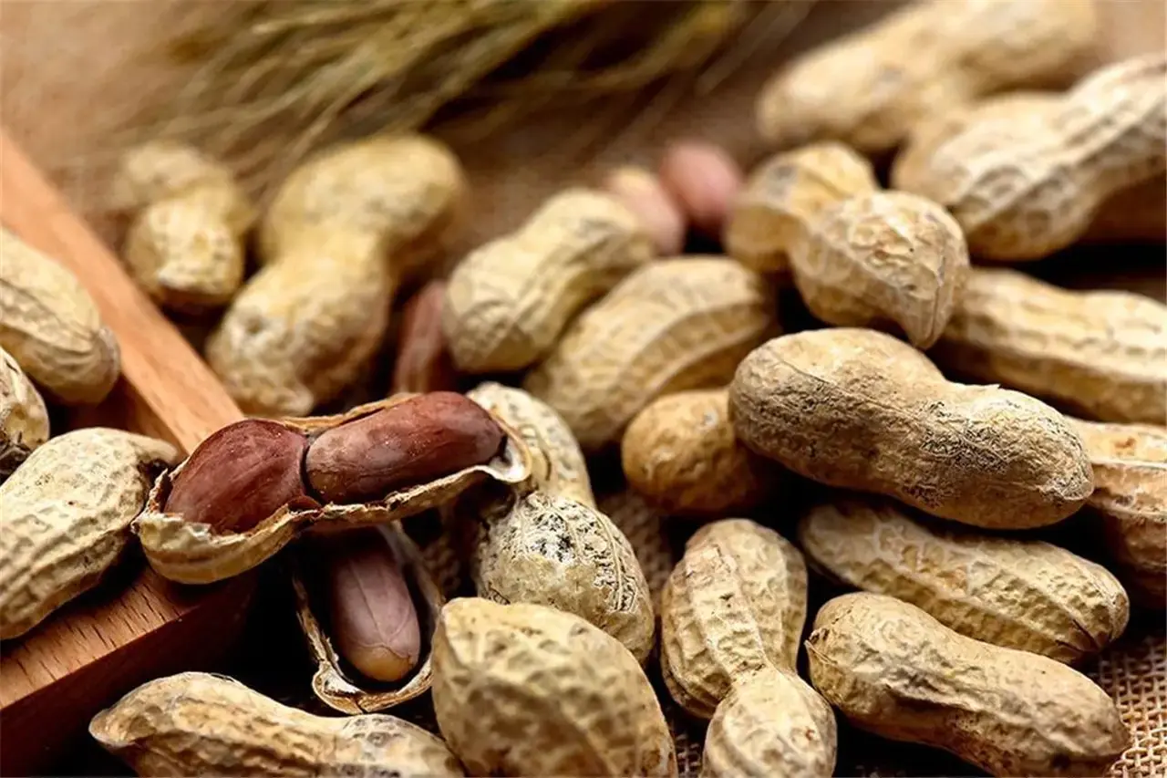 Are Peanuts Always Healthy? Doctors Reveal the Surprising Truth