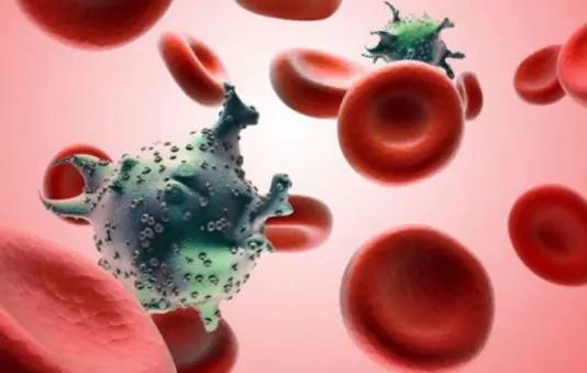 8 foods that ki.ll can.cer cells