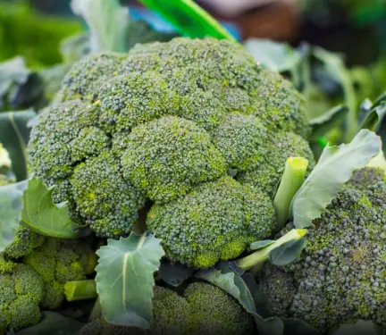 Doctors reveal that green broccoli causes...see more