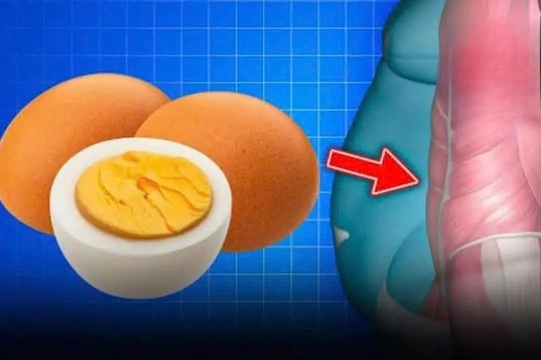 Prepare to Be Shoc:ked by What’s Happening Inside Your Body