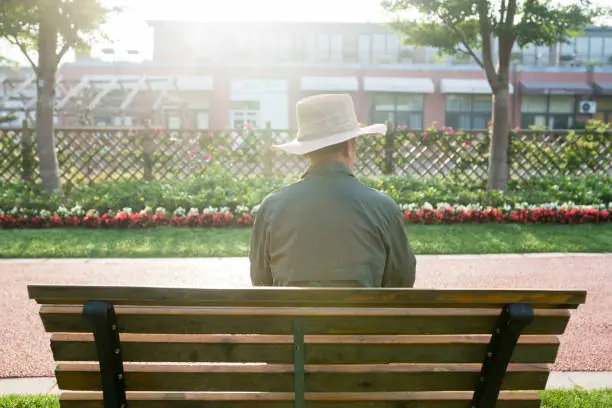 “The Old Man Sat on the Same Park Bench Every Day — One Morning, He Was Gone, But Something Was Waiting for Me.”