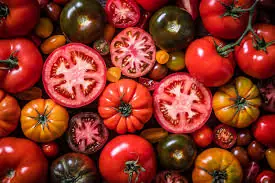 Eating Tomatoes Every Day: Health Boost or Hidden Risk?