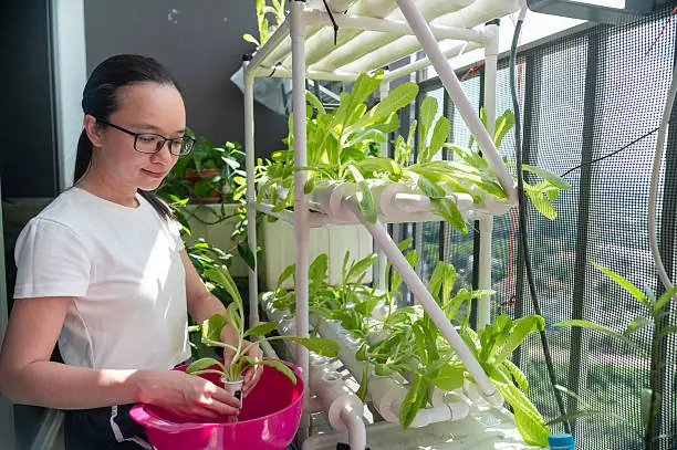 “My Mom Asked Me to Water a Plant Every Week — After She Moved Away, I Learned Why She Never Let It Dry.”
