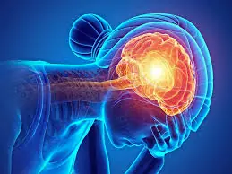 Brain Aneurysm Awareness: 12 Symptoms That Require Immediate Attention