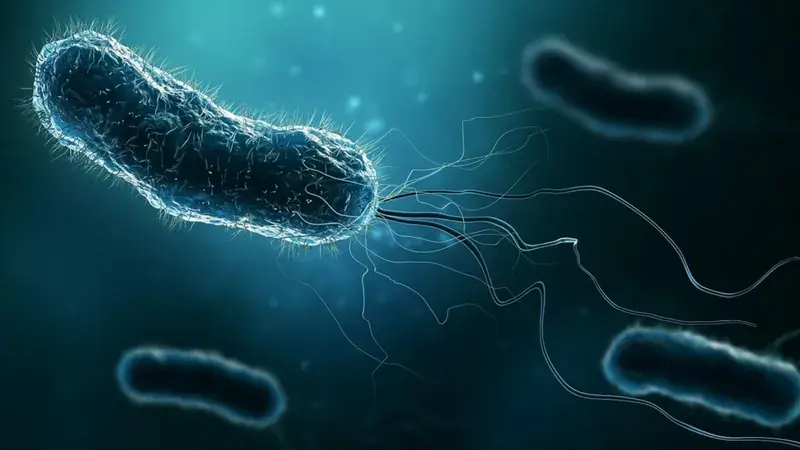 Lym.phoma: Early Red Flags Survivors Didn’t Recognize in Time