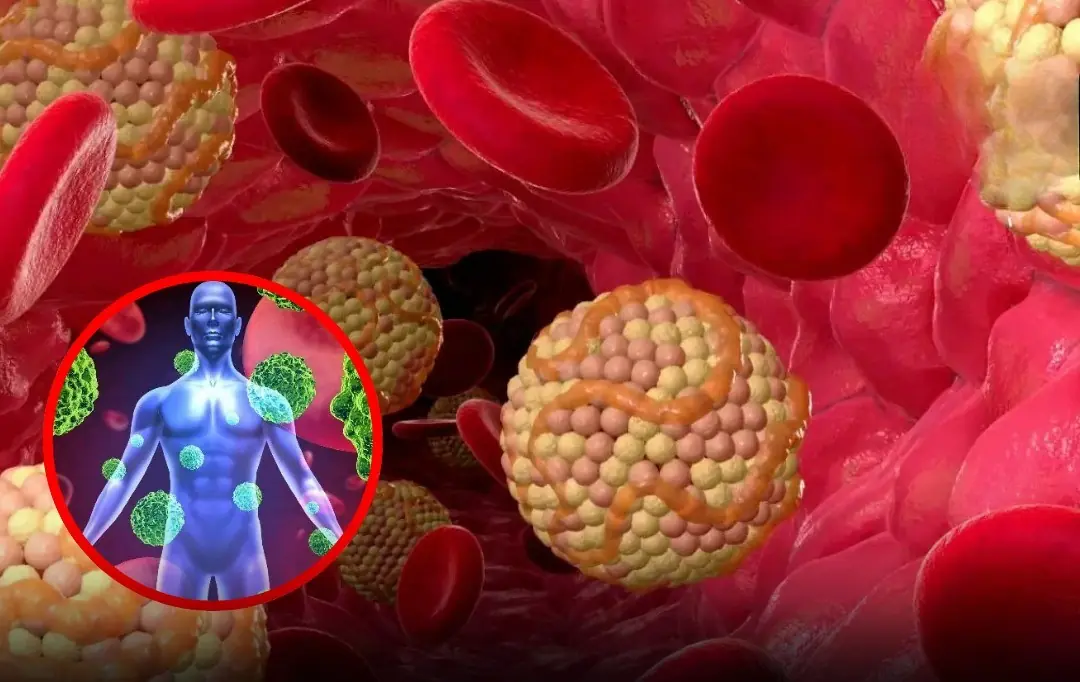 10 Hidden Blo.od Can.cer Symptoms Most People Miss Until It's Too Late