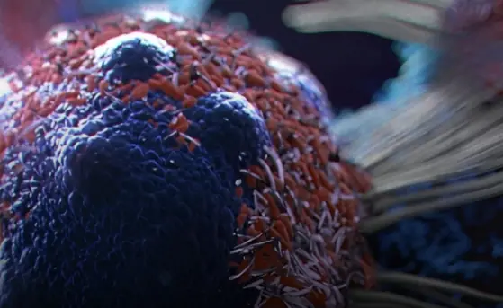 Boost Your Diet with These 8 Cancer-Fighting Foods