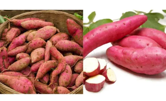 What Your Body Experiences When You Eat Sweet Potatoes Every Morning