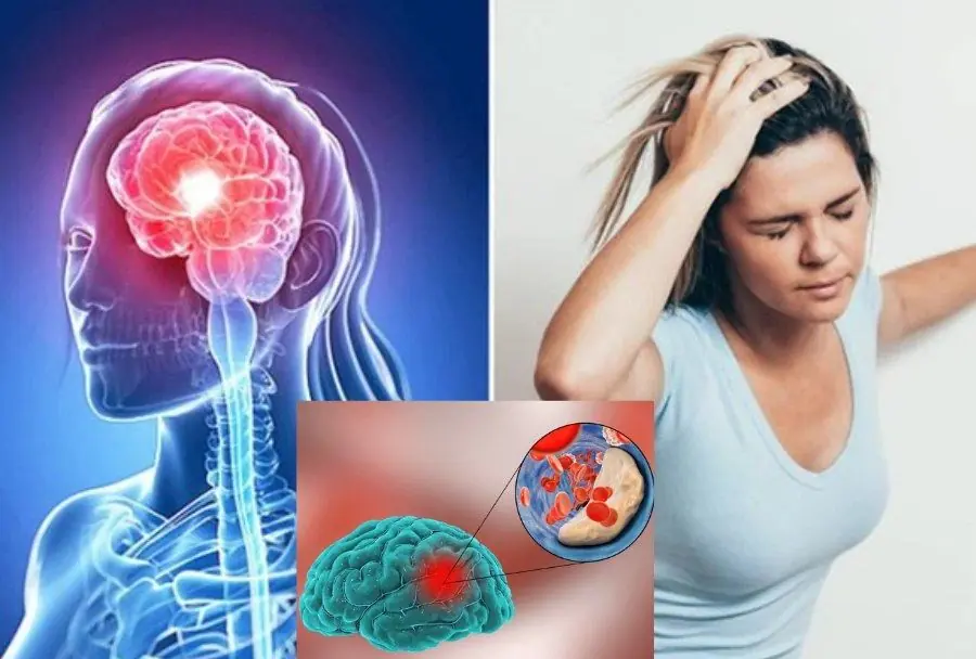 Scientists Sh.oc.ked — One Protein May Be the Root of Every Ca.nc.er