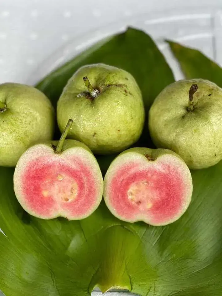 The Effects of Eating Guava on Your Body, According to Doctors