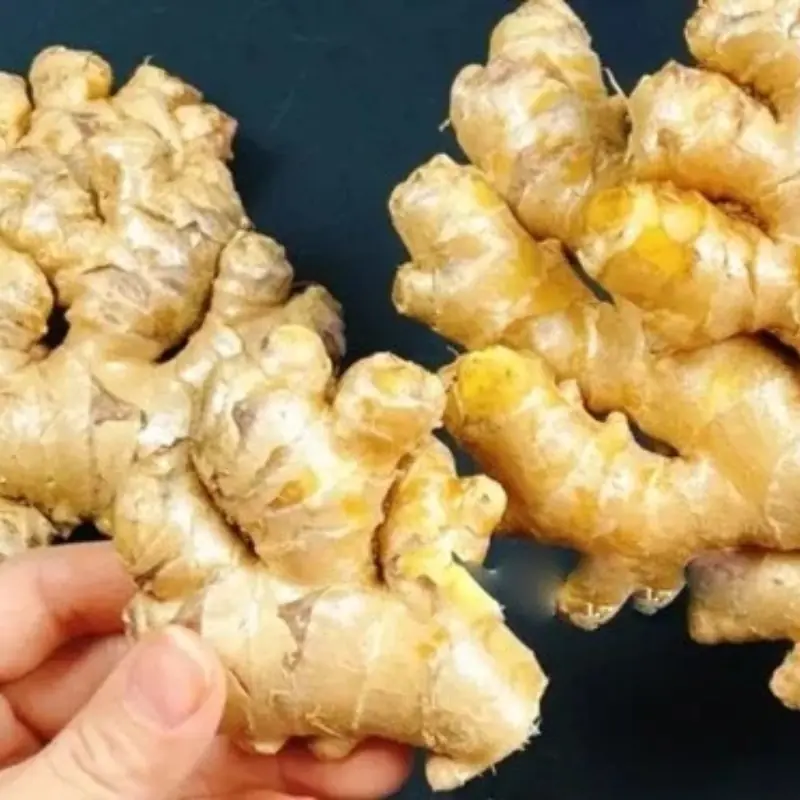 You May Want to Avoid Ginger If You Have These Five Health Conditions