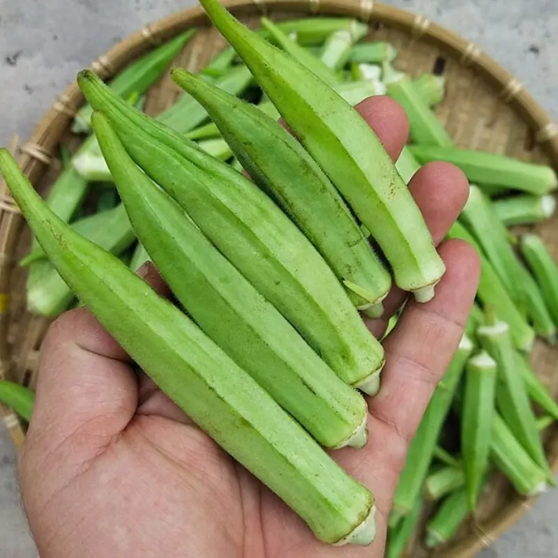 Good for Most, But Not for Everyone: 5 People Who Should Avoid Okra