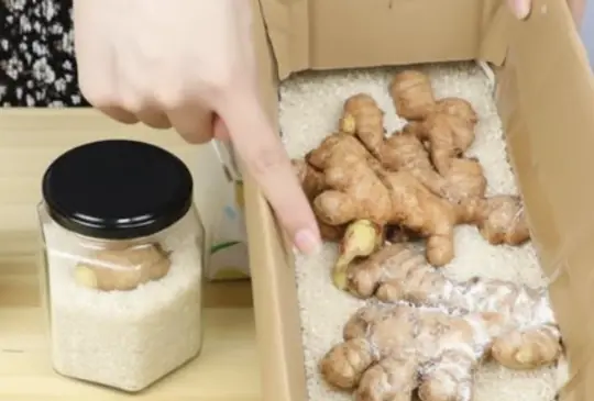 Store Ginger Like a Pro — 5 Methods That Keep It Fresh for Half a Year
