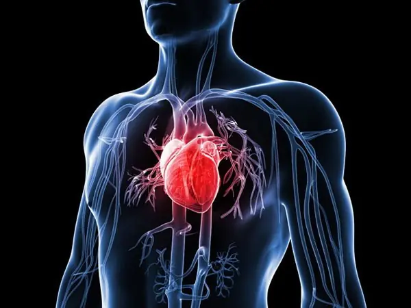 Heart Attack Warning Signs: 5 Clues Your Body Might Give in Advance