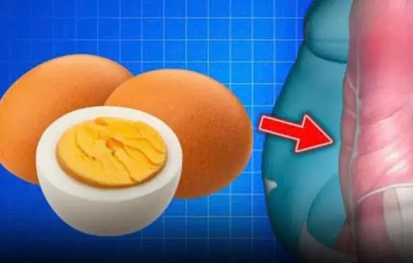 Prepare to Be Shoc:ked by What’s Happening Inside Your Body