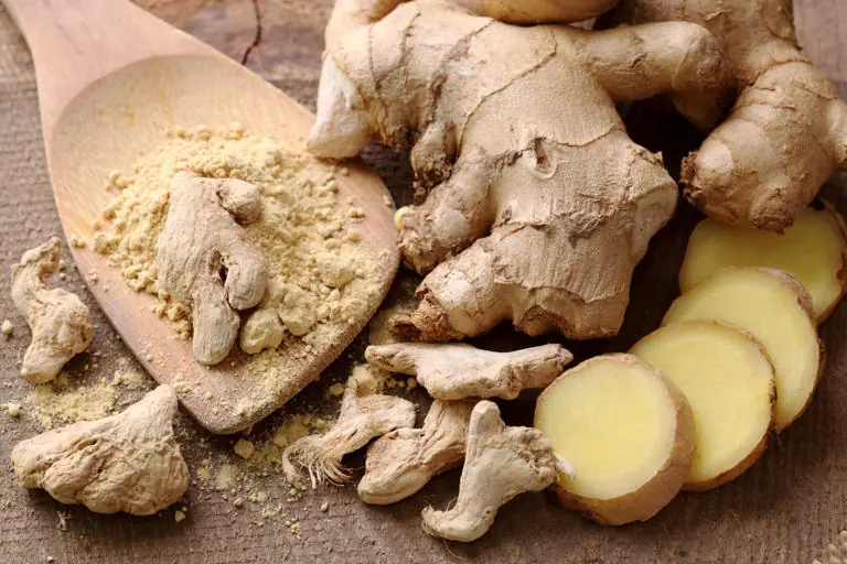 The Beginner’s Guide to Growing Ginger at Home Successfully