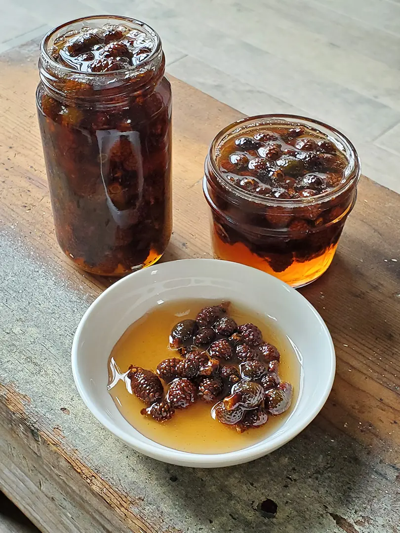 Pine Cone Syrup: A Natural Woodland Syrup with Healthful Properties
