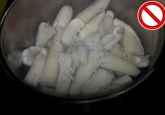 Known as the “World’s Deadliest Food,” It Claims Over 200 Lives a Year — Yet Millions Still Eat It