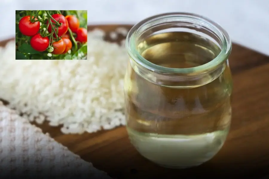 Garlic ranks only 9th… the No.1 longevity food is cheap, familiar, and already in your kitchen