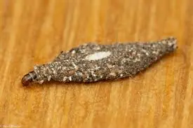 Have You Ever Wondered What Those Small Wall Bags Are For?