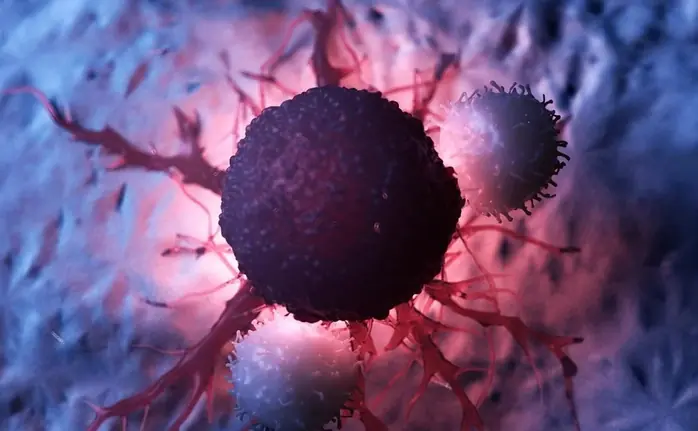 20 powerful foods to consume regularly for long-term can.cer protection