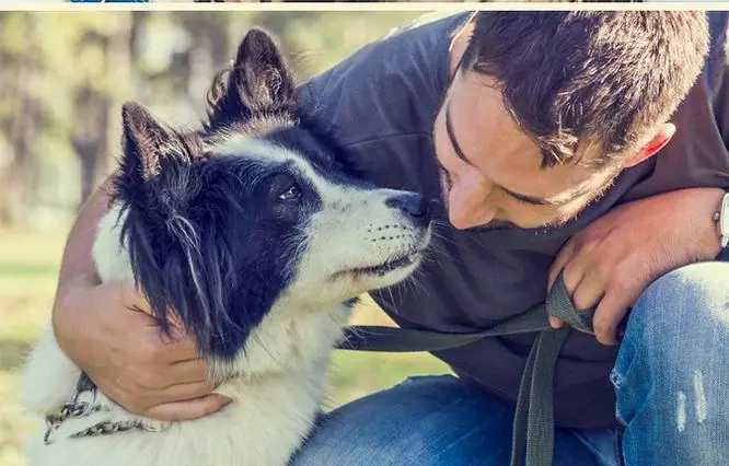 What’s the reason behind dogs sniffing people they encounter?