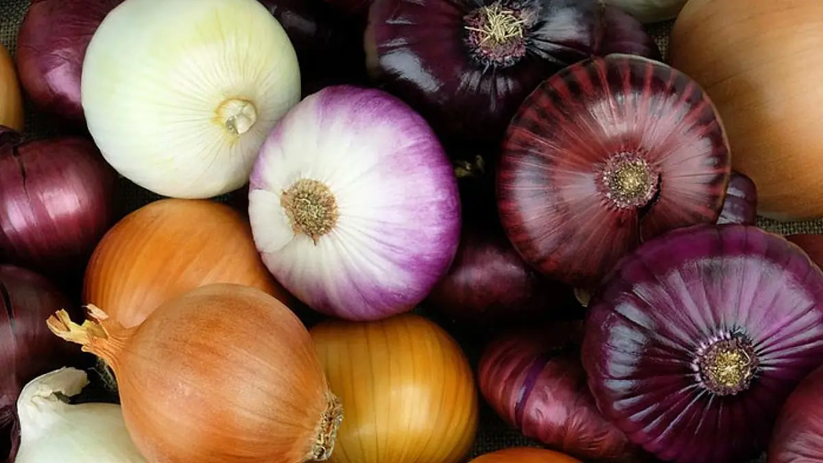 4 practical advantages of putting an onion in the corner of a room