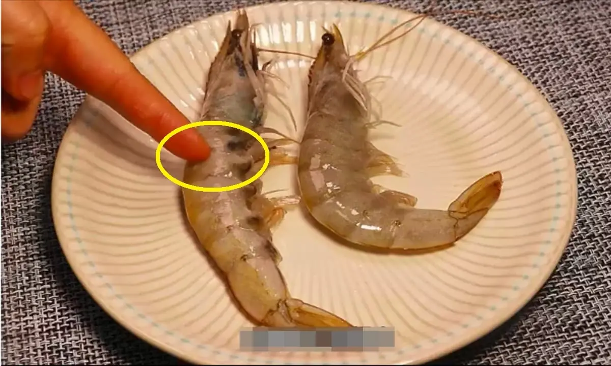 When buying shrimp, should you pick the straight ones or the curved ones?