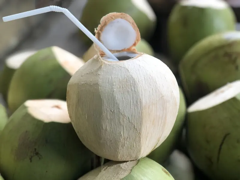 Drink One Coconut a Day — Here’s What Happens to Your Body