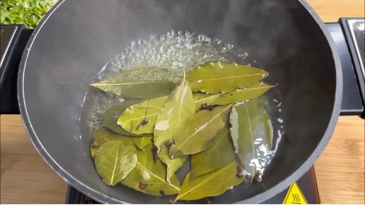 Say Goodbye to Flies, Mosquitoes and Cockroaches by Boiling These Leaves