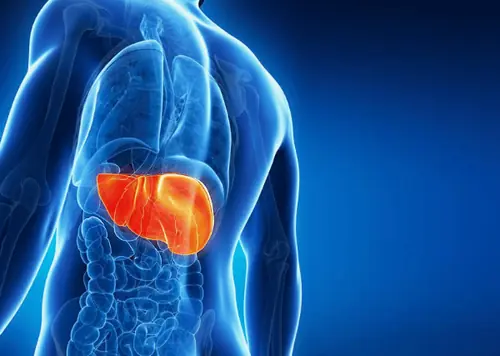 What you should know about fatty liver disease - causes, signs, and how to improve it