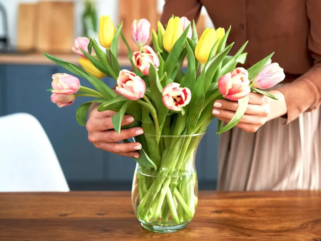 Practical tips to help keep your flowers fresh and vibrant for a longer time